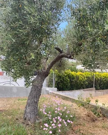 Appartamento Diana