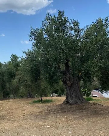 Diana Apartmán *